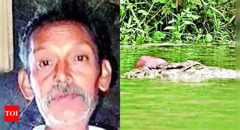 Crocodile Attacks Humans 的图像结果