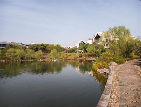 Image result for Raspberry Pi 64Mp Camera