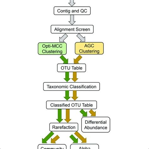 Analysis Workflow 的图像结果