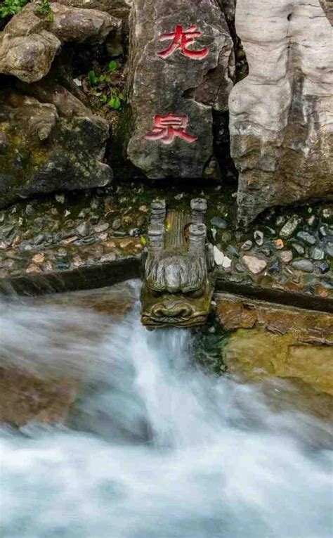 秋高气爽，泉水正欢！来济南南部山区寻个泉吧|红叶谷|龙泉|泉水_新浪新闻