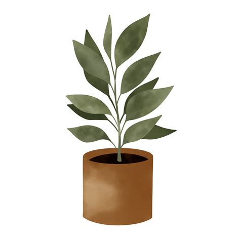 Potted Plants Illustration. House Plants. 15341583 PNG