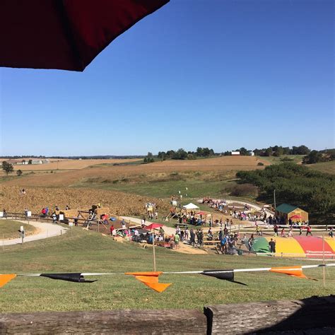 TRUNNELL'S FARM MARKET & FAMILY FUN ACRE - All You Need to Know BEFORE ...
