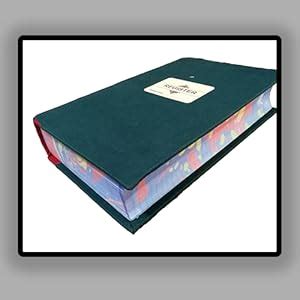 LRS Ruled Register Canvas Bound - 500 Pages - 80 GSM Ledger Paper ...