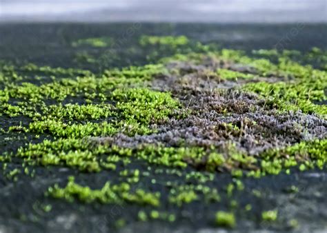 Another Background Background Background Background Background Background Background Background Background