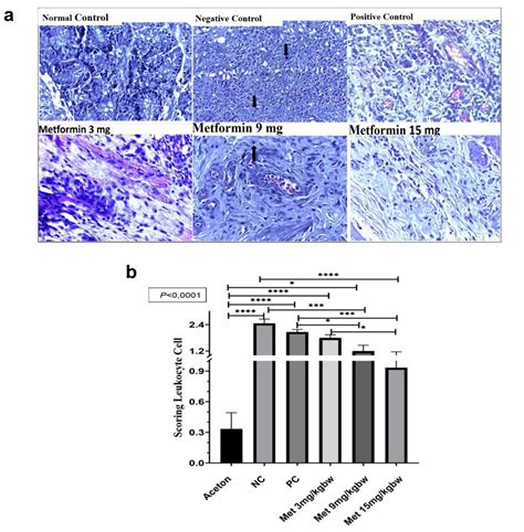 Histopathological analysis of venule blood vessel diameter size