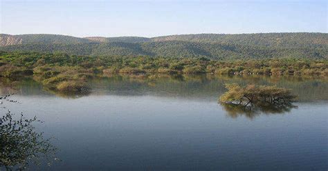 7 National Parks in Rajasthan That Show Nature's Pleasant Side In 2025!