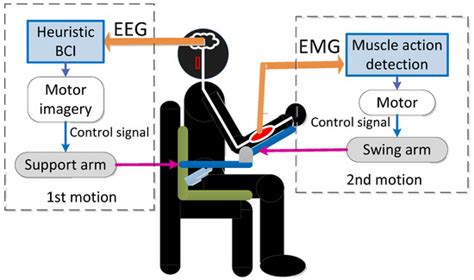Trial of Brain–Computer Interface for Continuous Motion Using ...