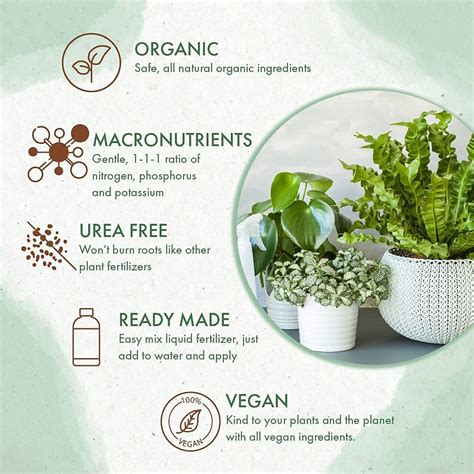 Organic House Plant Fertilizer Organic Indoor Houseplant Plant Food