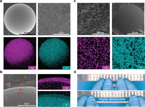 Imaging Signal Resolution for Sem 的图像结果