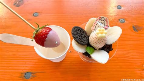 Spring Boot Projects in Java に対する画像結果