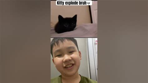 Cute Things Exploding Cat 的图像结果