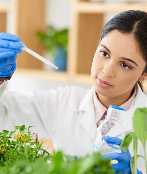 Image result for Apprentice Program Bdb