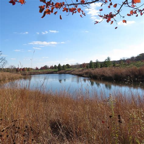 Elm Grove Village Park - Aktuelle 2021 - Lohnt es sich? (Mit fotos ...