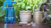 Shop Doctor Fungi - Organic Bio-Fungicide, Water Soluble Liquid | IFFCO ...