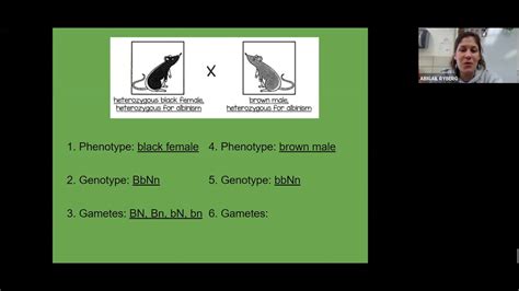 Image result for Epistasis Lecture Notes