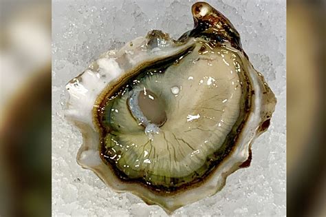 Couple finds ‘once-in-a-lifetime’ pearl in oyster at NJ restaurant