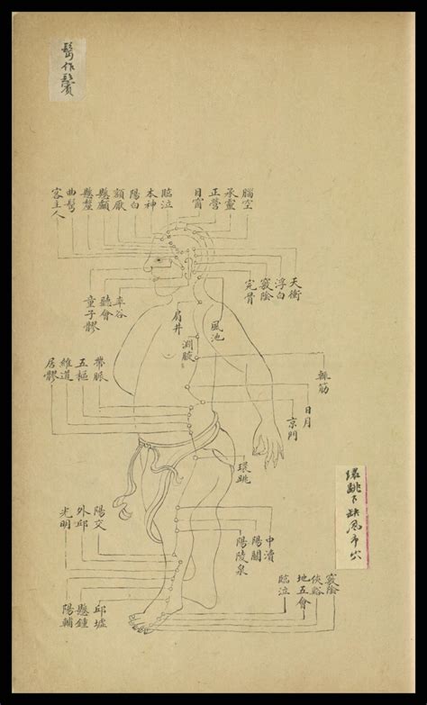 Gallbladder Meridian from 'Songs of Acupuncture' | Chinese medicine ...