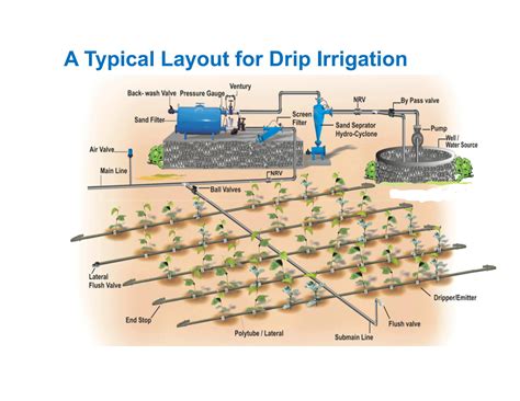 Image result for Drip Irrigation System Design