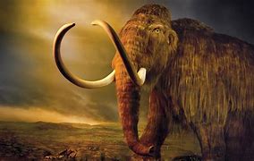 mammoths 的图像结果