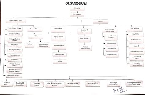 Organogram