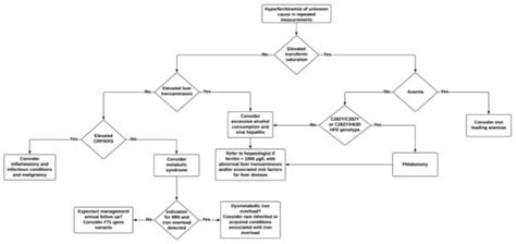 Hyperferritinemia—A Clinical Overview