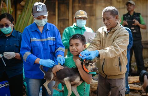 WOAH Rabies Vaccine Bank: a Valuable Tool in the Emergency Response to the Rabies Outbreaks in ...