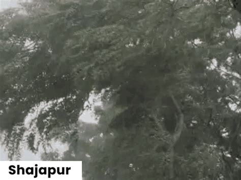 heavy rain alert bhopal and mp meteorological toughens warnings strong ...