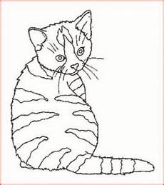 ausmalbilder katzen zum ausdrucken 8 katzen bilder zum ausmalen rooms project ausmalbilder katzen zum ausdrucken 8 katzen bilder zum ausmalen rooms project