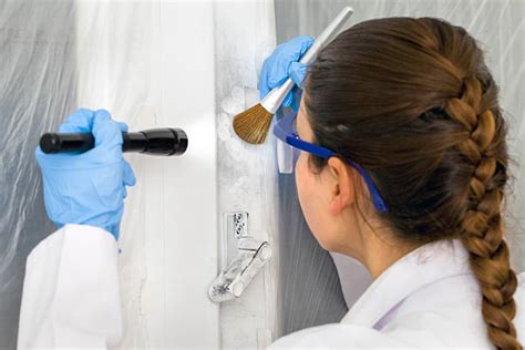 Crime 的图像结果