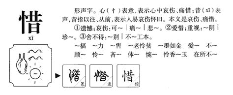 「惜」字的筆順、筆劃及部首 - 香港小學字詞表 - 根據教育局指引製作