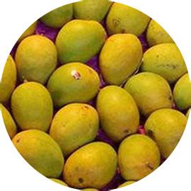 Origin Foods Limited