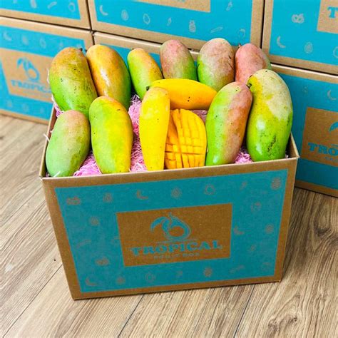 Mango Box 的图像结果