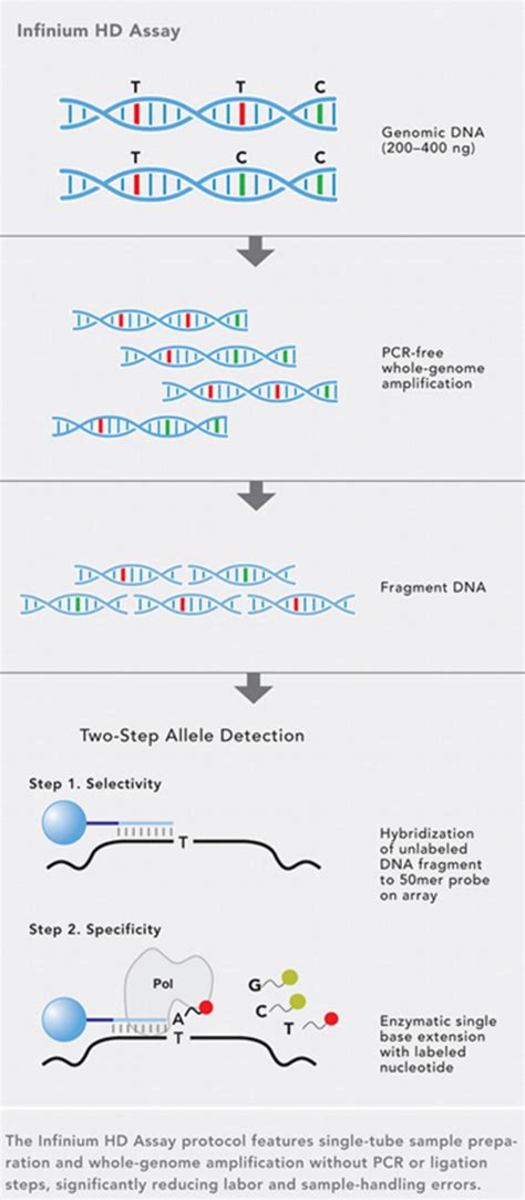 SNP Array Applications 的图像结果