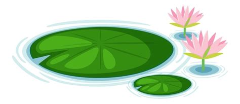 Lily pad clipart Vectors & Illustrations for Free Download | Freepik