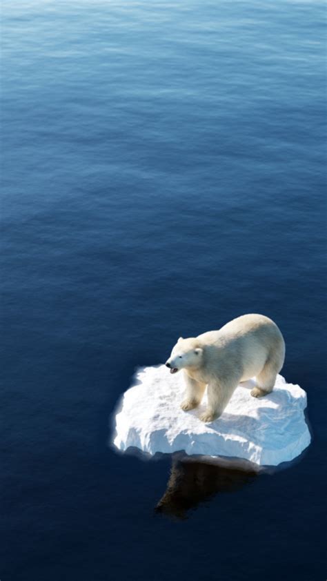 Common myths about climate change