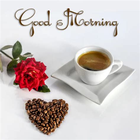 25+ Good Morning Rose Images - Good Morning Wishes