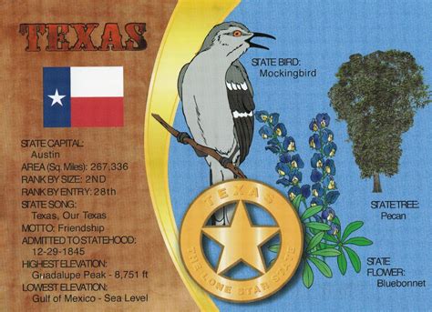 Texas Our Texas Facts at Wallace Yang blog