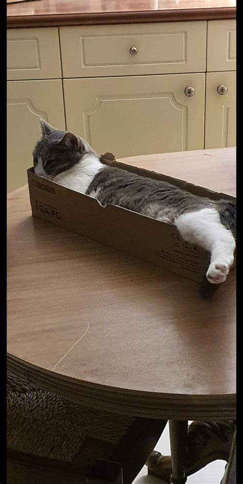 Image result for Clean Box Blurr