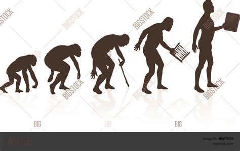 Evolution of Man Vector 的图像结果