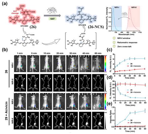 Near-Infrared-II Fluorescence Imaging of Tumors with Organic Small ...
