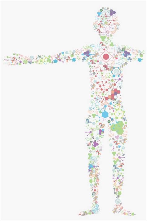 Biology Clip Art PNG 的图像结果