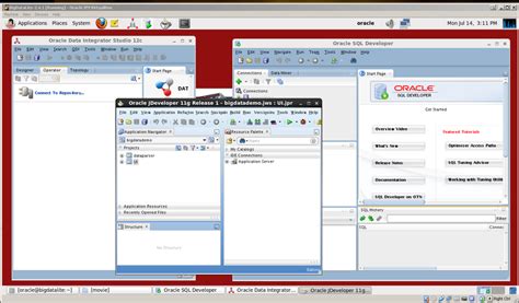 Image result for Maximize Screen Oracle VM