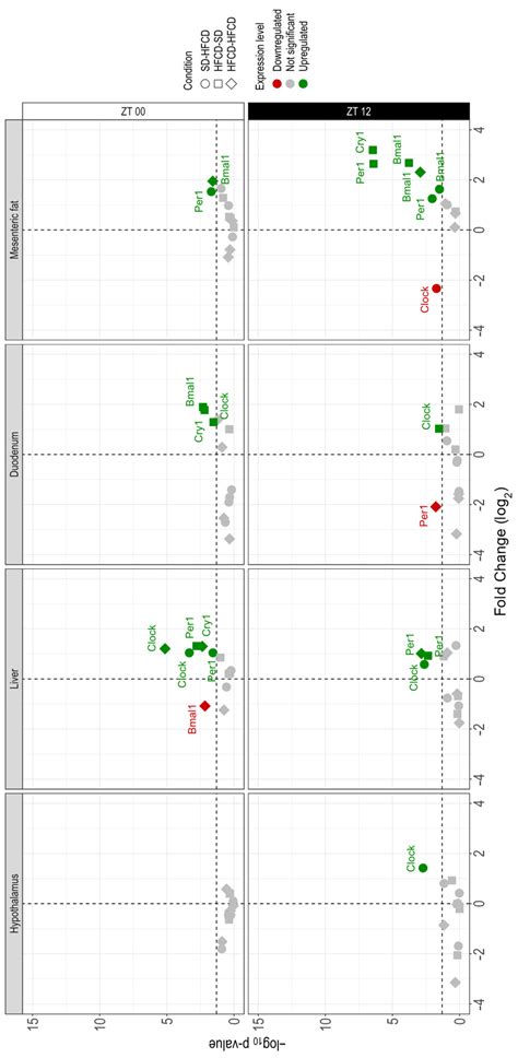 Chronic Maternal Overnutrition and Nutritional Challenge in Adult Life ...