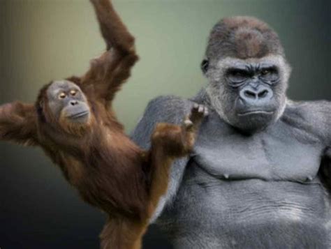 Body Language Power Poses 的图像结果