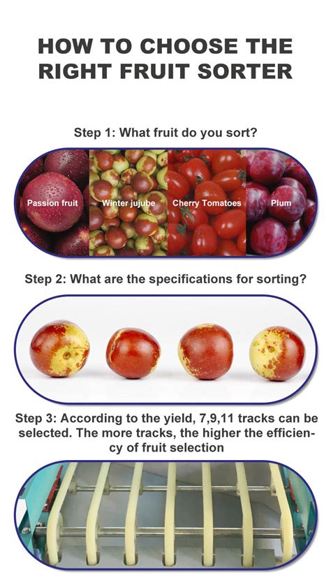 Image result for Fruit Sorting Machine
