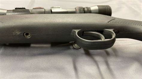 Image result for Bolt Action Muzzleloader