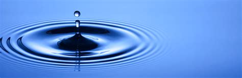 Science PHY 的图像结果