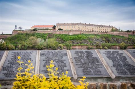 Our suggestions for your day trip to Novi Sad from Belgrade - Food and ...