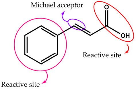 Synthetic Cinnamides and Cinnamates: Antimicrobial Activity, Mechanism ...