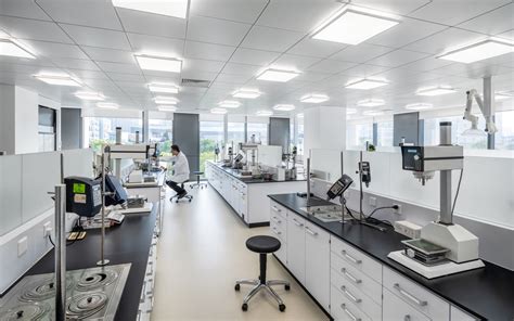 Local Development Lab 的图像结果